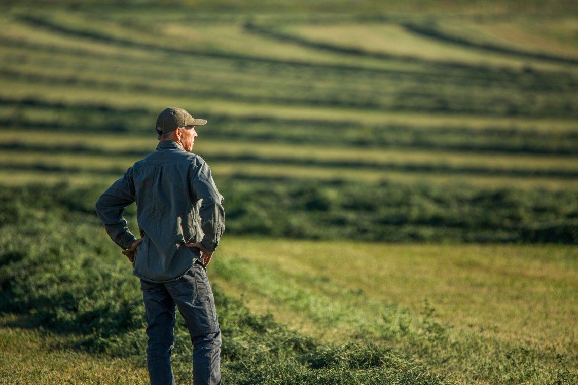 Agricultor no campo a observar as culturas
