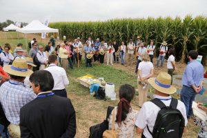 Ação de formação da APOSOLO e da Syngenta sobre Agricultura de Conservação na Agroglobal