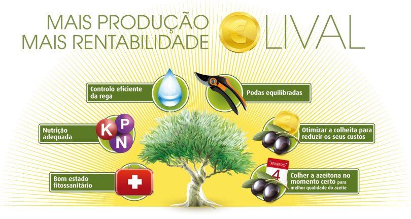 melhorar a rentabilidade da nossa exploração