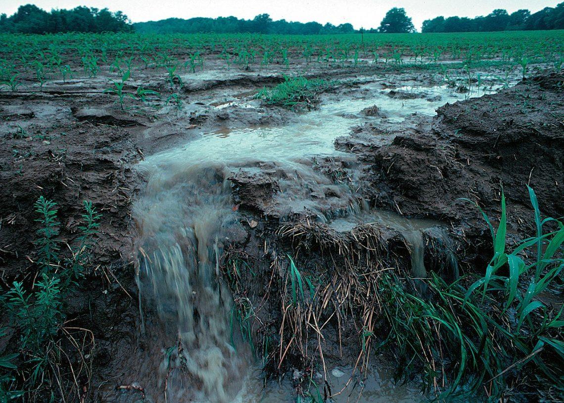 Superfície do solo exposta às condições climáticas