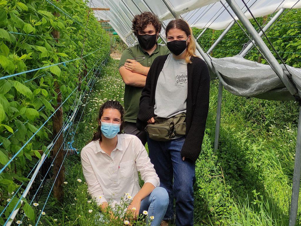 A equipa de agrónomos da The Summer Berry Company Portugal