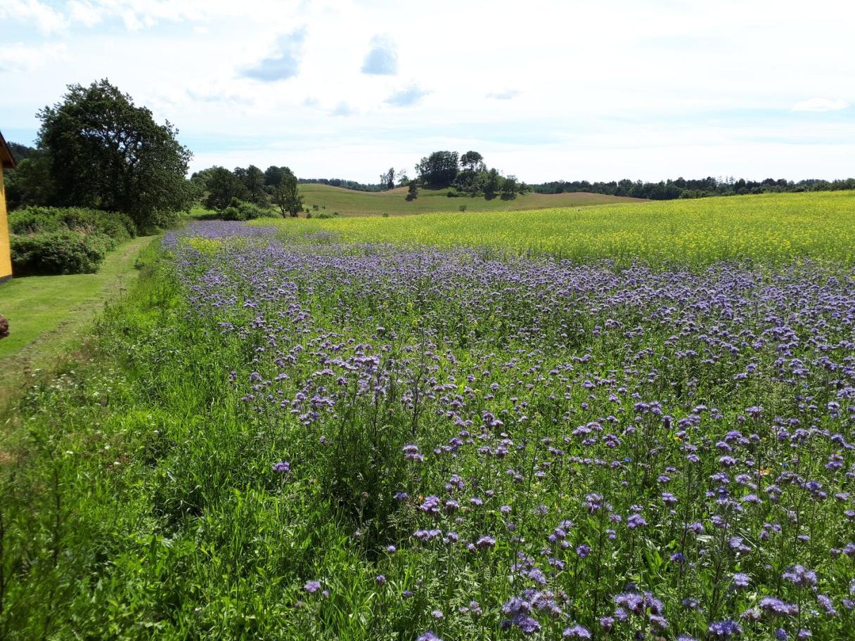 Operation pollinator