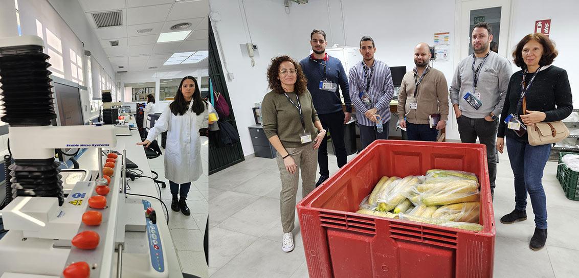 Testes de firmeza do fruto no laboratório de qualidade (à esq.) e sala de processamento de semente
