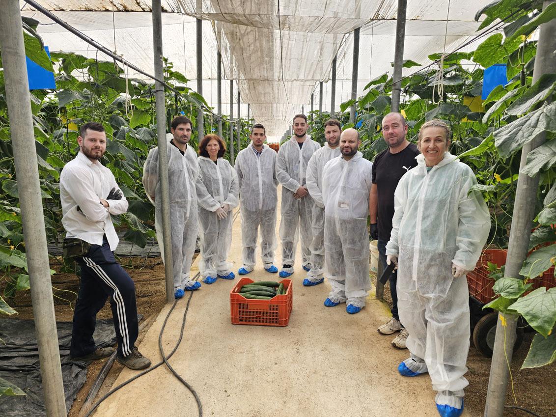 Visita à estufa do produtor José Lopes em Almeria, onde decorrem ensaios de variedades de pepino da Syngenta