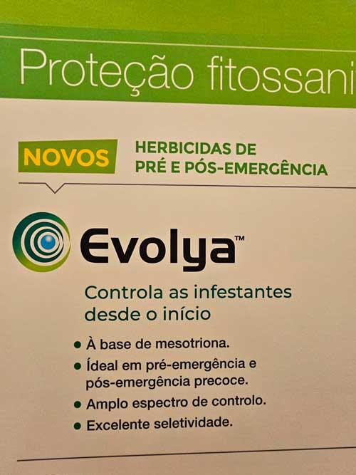 Evolya