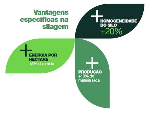 Tecnologia MaxiMaize