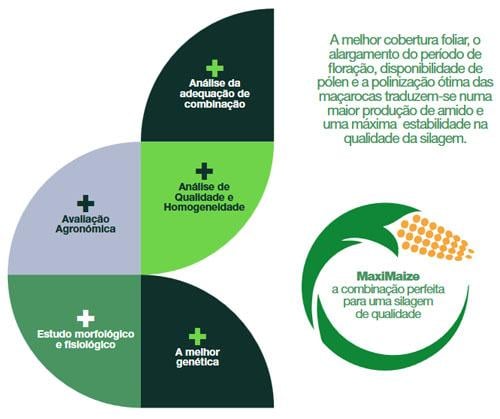 Tecnologia MaxiMaize