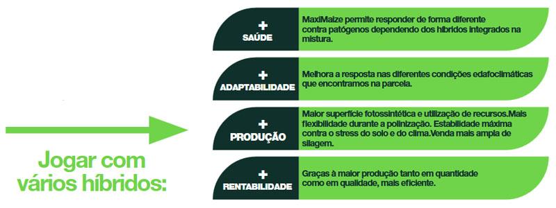 Tecnologia MaxiMaize