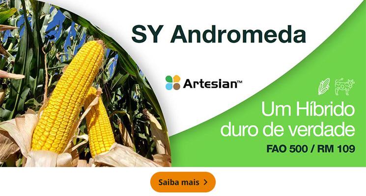 SY Andromeda, Um Hibrido duro de verdade