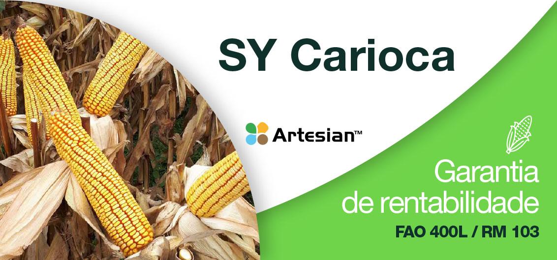 SY Carioca, Garantia de rentabilidade