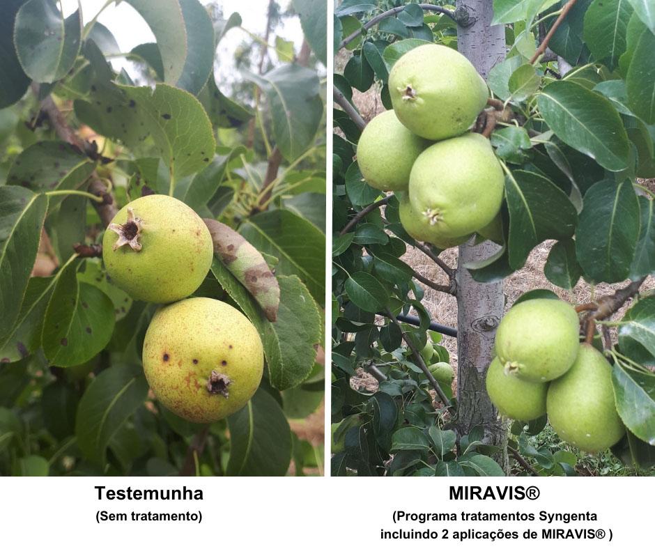Miravis® tratamentos