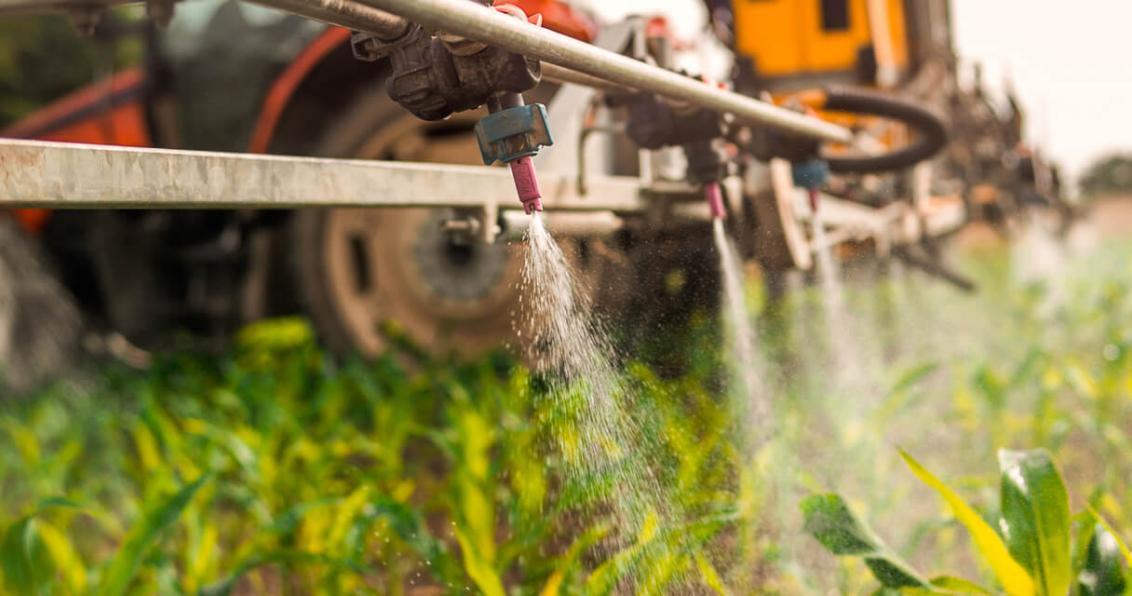 Os bioestimulantes substituem os fertilizantes