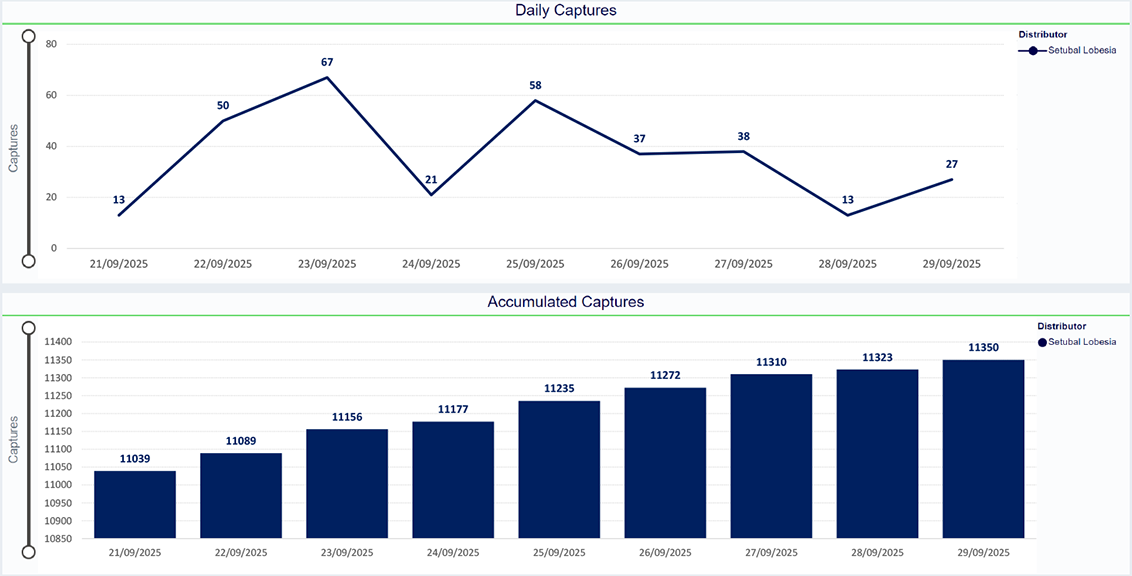 Curvas Lobesia 05-08-2024