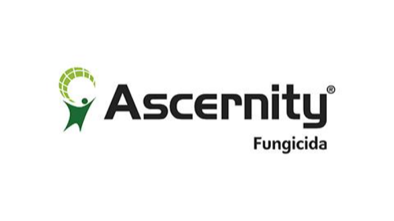 Ascernity