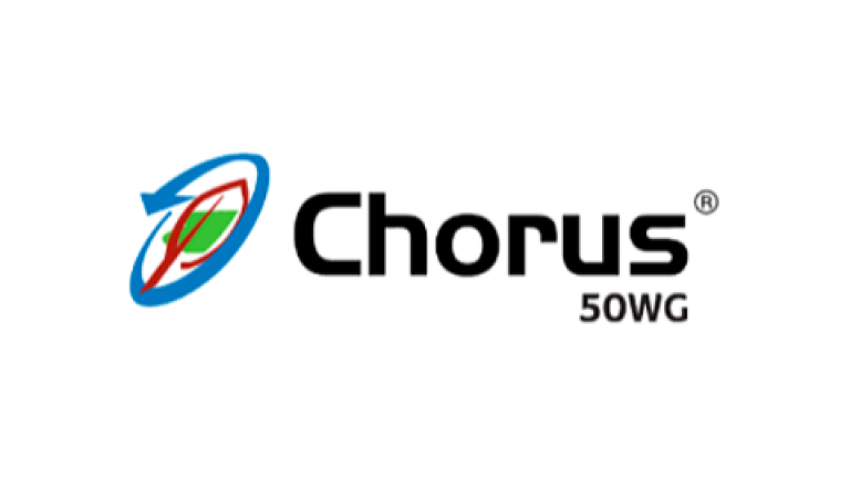 Chorus 50 WG