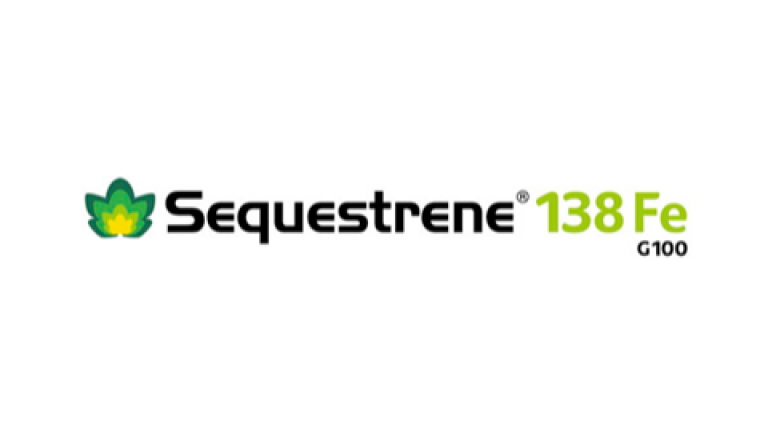 Sequestrene 138 Fe G100