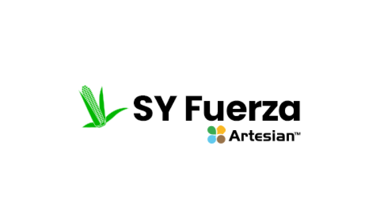 SY Fuerza