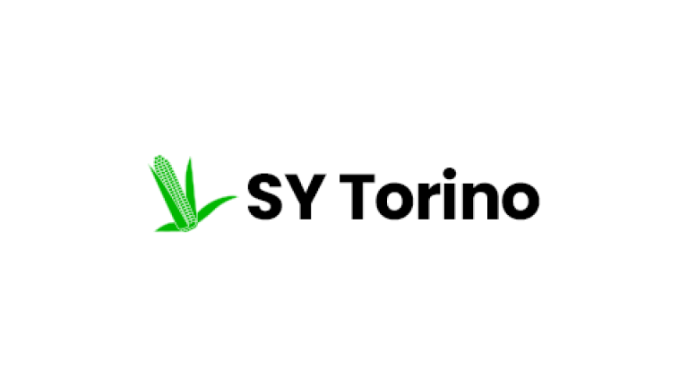 SY Torino